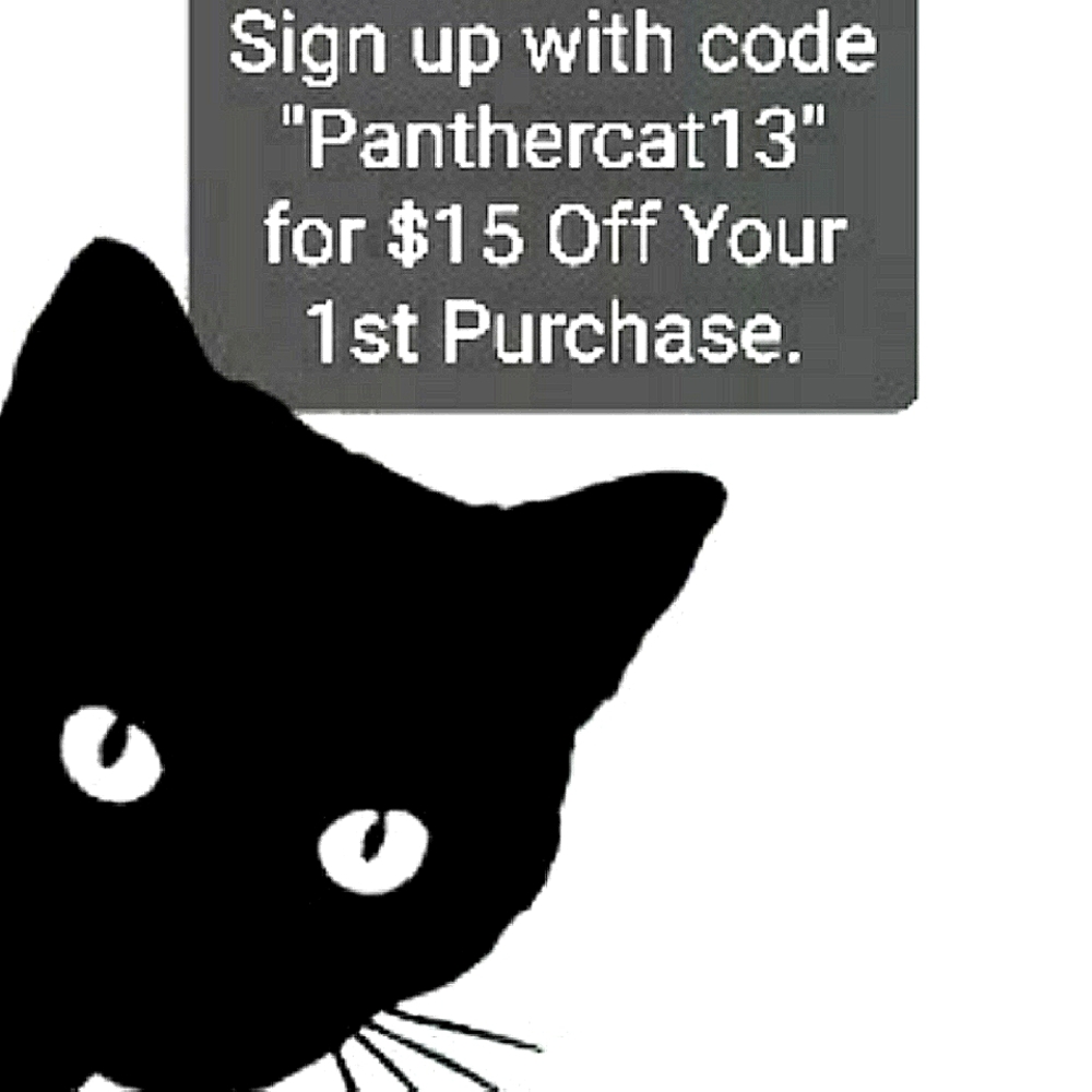 Panthercat13 🖤🐈‍⬛